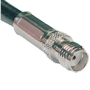 SMA female