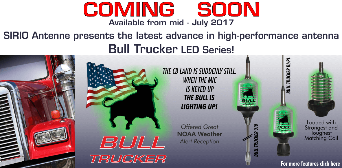Banner BULL
